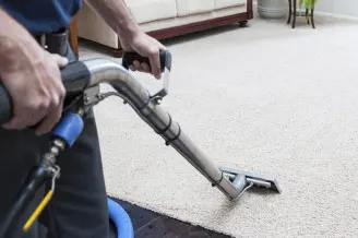 Professional Carpet Cleaning